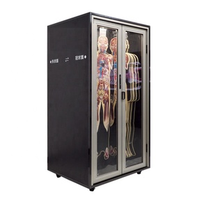 Modè<span class=keywords><strong>le</strong></span> anatomique de <span class=keywords><strong>corps</strong></span> <span class=keywords><strong>humain</strong></span> visible <span class=keywords><strong>en</strong></span> <span class=keywords><strong>3D</strong></span> pour l'enseignement médical, impression <span class=keywords><strong>3D</strong></span> haute définition, modè<span class=keywords><strong>le</strong></span> d'impression <span class=keywords><strong>3D</strong></span> tomographique - Product Image 1
