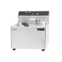 Nouveau Type 220V en acier inoxydable Mini friteuse électrique commerciale Friteuse électrique industrielle