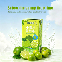 Kleine Groene Lime Fruitdrank 125ml Verfrissende Mini Doosjes Sap Groothandel Drank voor Supermarkt Kinderdrankjes