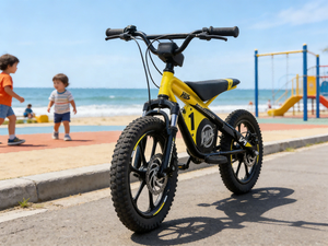 Vélo électrique pour enfants QQML 36V, <span class=keywords><strong>2</strong></span> vitesses, cadre en alliage d'aluminium 12/16 pouces, autonomie 25 km, frein hydraulique, batterie au lithium - Product Image 1
