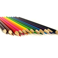 Taille-crayon professionnel en tube de papier 12 pièces, crayons de couleur pour l'école prismacolor premier colorpencil