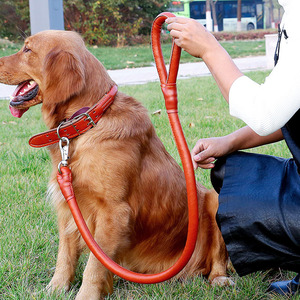 <b>Pet</b> Dog Leather <b>Collar</b> <b>Leash</b> Home Dog Walking <b>Leash</b> Set <b>Pet</b> PU <b>Collar</b> <b>Leash</b> Fashionable Simple Impact Resistant Durable - Product Image 6