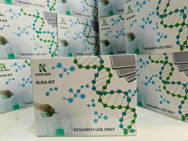 Human Peptide YY ELISA Kit | High Sensitivity 96 Tests | Sandwich Method for Research Use Only