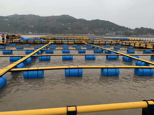 Probattery <span class=keywords><strong>Air</strong></span> Cord Square Round Cría Fish Deep-sea Antielectric Reelshing <span class=keywords><strong>Net</strong></span> Cable(150cm Fish Farming International Solid - Product Image 6