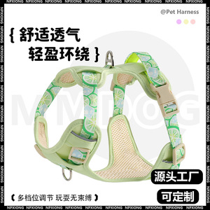 Correa de verano tipo chaleco para perros, arnés transpirable para mascotas, adecuado para perros pequeños, medianos y grandes como Corgis y Bichons. - Product Image 4