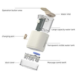 Brosse à huile essentielle atomisée nano, masseur du cuir chevelu à lumière rouge EMS, applicateur d'huile capillaire électrique pour le traitement de la perte de cheveux - Product Image 3
