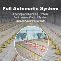 Ferme de poulet de volaille ferme de volaille automatique ligne d'alimentation d'élevage automatique