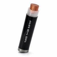 Câble d'alimentation YJV22 CU/XLPE/STA/PVC 1*120 0,6/1kV, conducteur en cuivre, blindage en bande d'acier, gaine en PVC, norme IEC