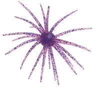 Leurres souples flottants en TPE OEM pour pêche en eau douce, leurres souples pour poisson de type eau douce, appâts souples pour bar, 7 couleurs