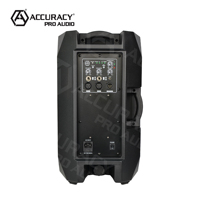 Précision Pro Audio CAC10D7-0.8K 10 pouces 2*100W Pro Audio BT Amplificateur dj portable son Plastique haut-parleur de puissance active