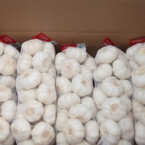 China ajo fresco cita para <span class=keywords><strong>macedonia</strong></span> - Product Image 5