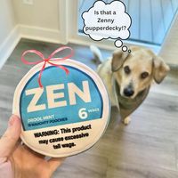 Zen Pupper Deckies Parodie Chien Jouet Cigarette En Peluche Grinçant Crinkle Son Drôle Chien Jouet Bave Menthe