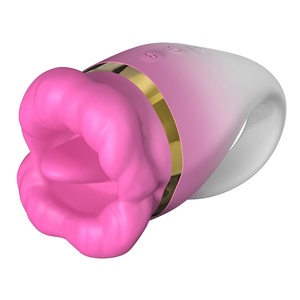 sex shop toy Pleasure Sucker Oral Sex Vibrator, with super-soft silicone lips– Hamilton  Park Electronics