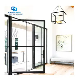 Modern Style Interior Exterior Used Aluminum And Steel Profile French Steel Black Metal Pivot Door