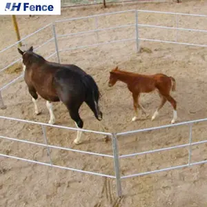 Puertas de valla de patio de Metal de granja galvanizadas más vendidas/Panel de ganado/Panel de caballo impermeable