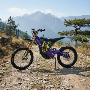 Motocicleta Todoterreno Surron Light X de Control Estable, 60V 40Ah 266N.m 75mph, para Carreras y Uso Diario, Light X de Alto Torque - Product Image 2