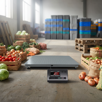 Timbangan Lantai Digital Elektronik HX Kapasitas 1000-5000kg Layar LCD Baja Karbon Bersertifikasi ISO OEM/ODM Akurasi 0.5kg Abu-abu Garansi 1 Tahun