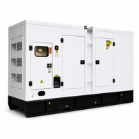Groupe électrogène diesel insonorisé Isuzu 20 kVA triphasé 400 V 50/60 Hz pour alimentation de secours