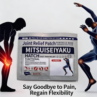 Patchs Musculaires à Base de Plantes Style Japonais pour le Soulagement des Douleurs Musculaires