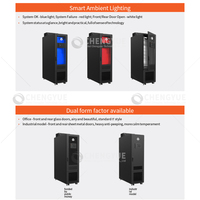 Vertiv Liebert SmartCabinet 2-E On-line 24U Sunucu Kabini Diğer Koruma %90 Üç Fazlı 100kva-250kva Kapasiteli Kurşun Asit Akü