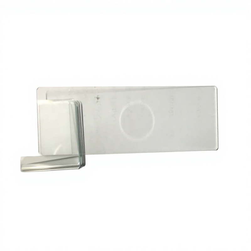 0 01mm Division 1mm Glass Slide