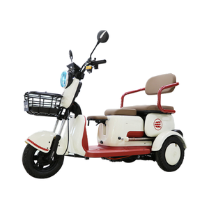 รถสามล้อไฟฟ้า3ล้อสำหรับผู้ใหญ่60V 1000W ได้รับการรับรองจากสาธารณรัฐเช็กอิตาลีตัวเลือกเปิดสำหรับรถบรรทุกที่มีเครื่องยนต์ - Product Image 2