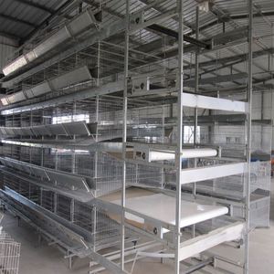 Sistema automatico di gabbia per pollaio di alta qualità - Product Image 5
