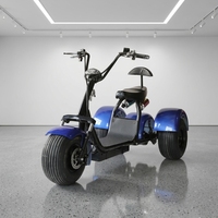 Scooter électrique à gros pneus certifié EEC 2000W, 3 roues, Citycoco, batterie lithium 60V, grosse roue, moto électrique pour adultes