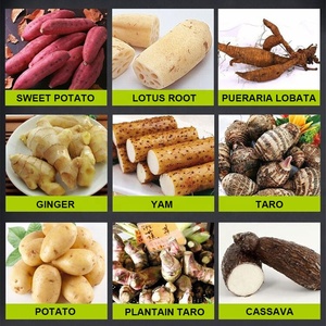 Broyeur de poudre de manioc Broyeur d'alimentation Broyeur électrique commercial de patates douces Taro Séparateur d'extracteur de raffineur d'<span class=keywords><strong>amidon</strong></span> humide - Product Image 6