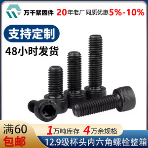 Wanqian Fasteners Metric Cup Head Hex Socket Cap Screws DIN912 12.9 Grade Fully Threaded Black Anodized High Strength Bolts - Product Image 5