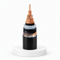 Câble d'alimentation blindé MV HV 11kV 33kV XLPE YJV22 YJLV22 N2XRY NA2XY BS5467 IEC60502
