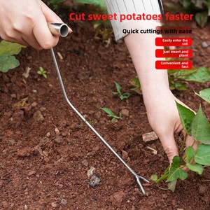 Sweet Potato Planting Tool - Angle-Designed <strong>Dibber</strong> for Higher Yields | Gentle on Seedlings | Flat-Planting Method - Product Image 1