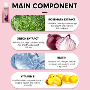 Champú OEM/ODM de Cebolla y Romero con Biotina, Hidratante para el Crecimiento del Cabello, Cuidado para Cabello Seco, Champú Refrescante para Cabello Fino, de Fábrica - Product Image 5