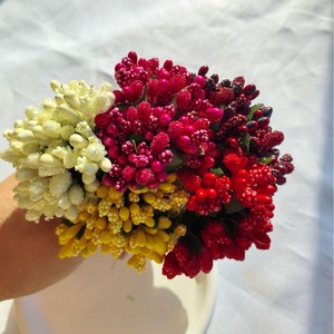 Mini Ramilletes de Bayas Artificiales de Alta Calidad, Tallos de Espuma, Flor de Fruta, Estambres de 10 cm, Hechos a Mano, Modernos, para Pascua - Product Image 1
