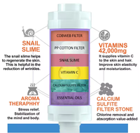 Filtre à eau pour douchette universelle B, purificateur de douche à la vitamine C, élimine le chlore et les impuretés pour la maison, le spa, l'aromathérapie H201