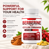 Berbérine avec cannelle de Ceylan 2175 mg – Complément de berbérine à haute pureté – Extrait pour soutenir le système immunitaire – Complexe de berbérine