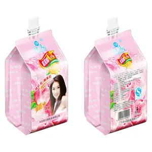 Spouted Pouches Custom Bag Packaging Material With Inner Straw Spout Stand Up Pouch Aluminum Plastic Bag