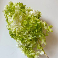 Bunga Hydrangea Awet Alami Buatan Tangan 50cm untuk Dekorasi Hotel - Thanksgiving & Natal