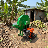 Broyeur robuste pour bananiers et plantains, alimenté par moteur essence ou diesel, déchiqueteur de pseudostèmes de banane, machinerie agricole tropicale