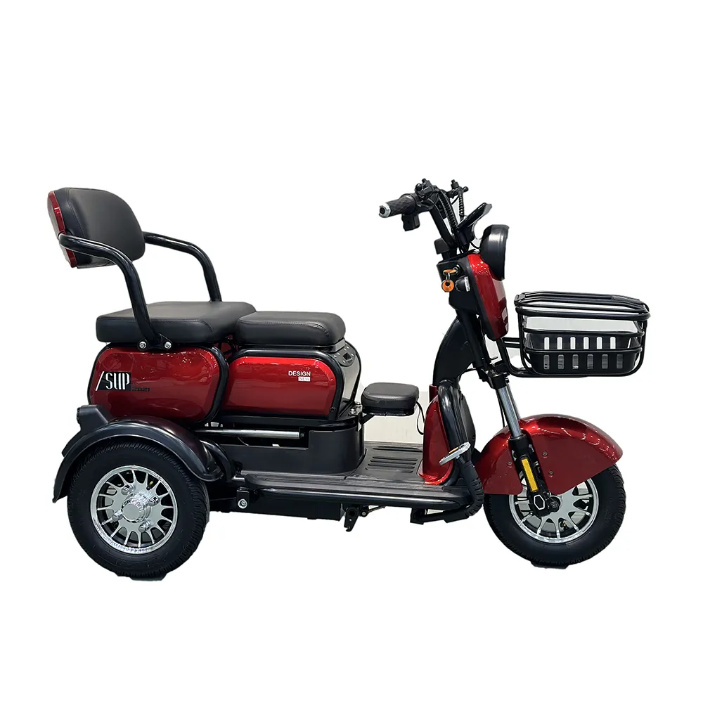 20 Inch Elektrische Trike Volwassenen 750W Motor Dikke Band 3 Wiel Driewieler Fiets Electro Drie Wielen Volwassen Lading Elektrische Fiets