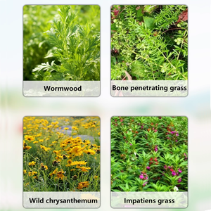 Máquina de recolección de hojas de Stevia barata al por mayor de alta calidad, máquina extractora de hierbas y flores de crisantemo de buena calidad, máquinas agrícolas - Product Image 6