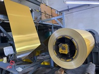 Bobine d'acier prélaqué résistant à la corrosion pour pièces et coques d'appareils électroménagers