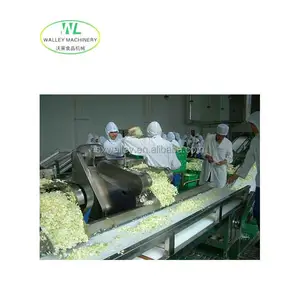 China Hot Air Dryer Dehydrator Processing Line For Carrot Potato Onion Garlic Ginger Beetroot