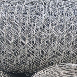 <span class=keywords><strong>Grillage</strong></span> hexagonal à <span class=keywords><strong>double</strong></span> torsion pour enclos de volailles (poulets, canards, oies), grille métallique <span class=keywords><strong>rigide</strong></span> galvanisée - Product Image 5