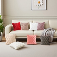 Housse de coussin carrée moderne brodée en peluche, avec noyau amovible et fermeture éclair lavable, sensation haut de gamme pour baies vitrées et salons