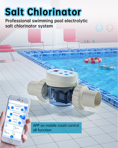 Stepon nouveau produit vente chaude <span class=keywords><strong>sel</strong></span> chlorinateur pour <span class=keywords><strong>piscine</strong></span> avec bon <span class=keywords><strong>prix</strong></span> Chlorateur De <span class=keywords><strong>Sel</strong></span> chlorator Solny - Product Image 2