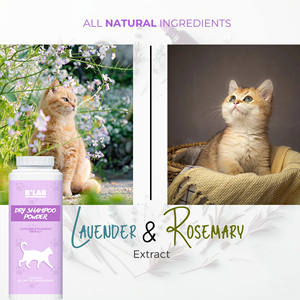 Champú en polvo seco para gatos, cuidado de mascotas, sin agua Natural, exterior, sin enjuague, reduce el olor, champú seco para mascotas, polvo para gatos - Product Image 4