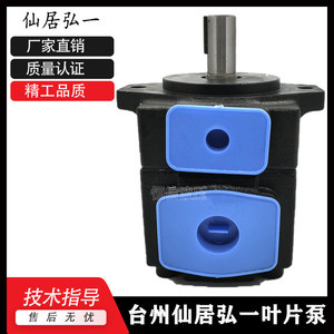 Pompe à aubes HONGYI YB-E160125-L Pompe hydraulique haute pression 160 cm - Product Image 5