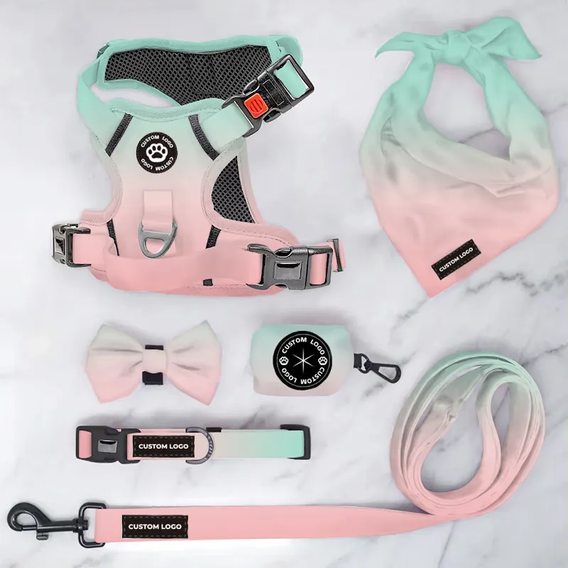 Oem Odm Designer Nylon Polyester Dog Accessories Dog Collar And Leash Harness Custom Dog Pet Leashes