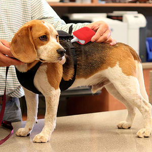 Produsen <span class=keywords><strong>Monitor</strong></span> Pasien Portabel Khusus Hewan Yang Dapat Dipakai Di Leher <span class=keywords><strong>Monitor</strong></span> Pasien <span class=keywords><strong>Oem</strong></span> AM4100 Dokter Hewan - Product Image 5